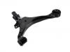 Brazo de suspensión Control Arm:51360-S9A-A01