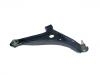 Control Arm:4013A310